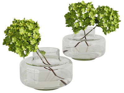 现代玻璃花瓶花卉3d模型 现代玻璃花瓶花卉
