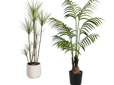 现代花盆盆景盆栽植物3d模型 现代花盆盆景盆栽植物