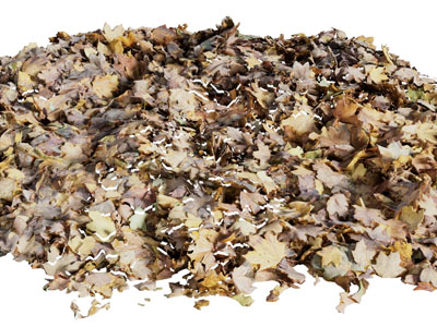 现代一堆枯树叶 落叶堆 叶子3d模型 现代一堆枯树叶 落叶堆 叶子