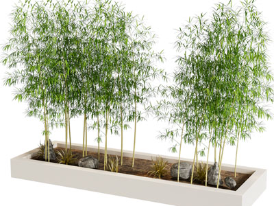 新中式竹子 花坛 景观园艺小品