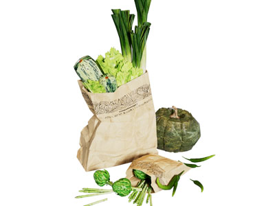 现代纸袋装的蔬菜 南瓜 大葱