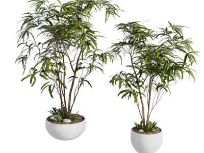 现代花盆盆景盆栽植物3d模型 现代花盆盆景盆栽植物