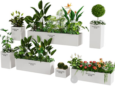 现代花箱盆景盆栽植物3d模型 现代花箱盆景盆栽植物