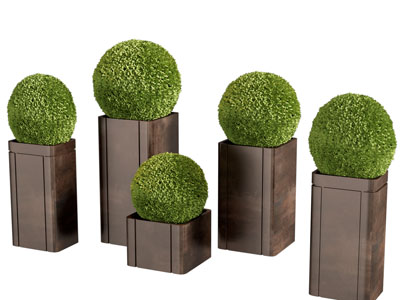 新中式花箱灌木盆景盆栽植物