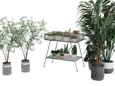 现代花盆盆景盆栽植物 花架3d模型 现代花盆盆景盆栽植物 花架