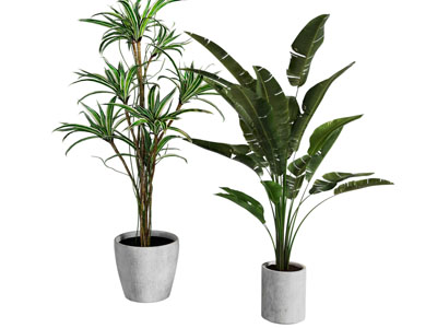 现代花盆盆景盆栽植物3d模型 现代花盆盆景盆栽植物