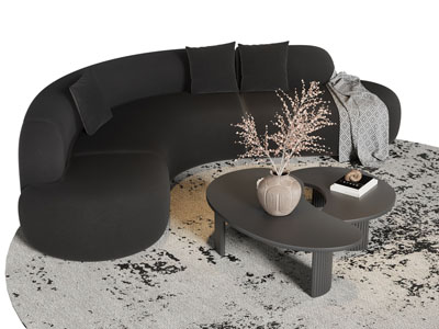 现代异形沙发 茶几组合