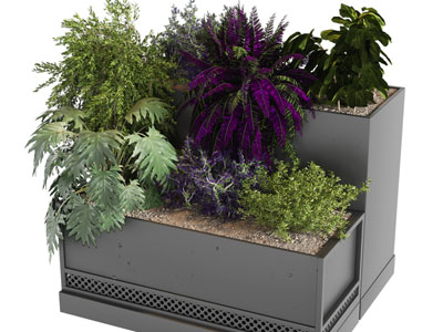 现代户外花箱盆景盆栽植物