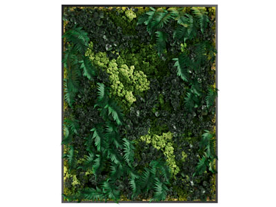 现代植物装饰挂画3d模型 现代植物装饰挂画