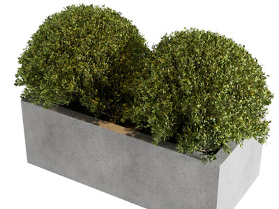 现代户外水泥花坛灌木盆景盆栽植物