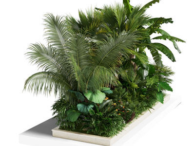 现代户外花坛花草植物盆景盆栽