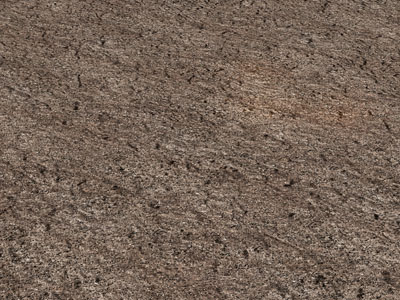 现代土壤 地面 泥土地
