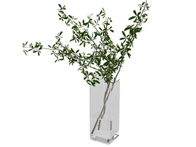 现代方形玻璃花瓶花卉