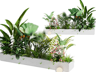 现代花坛 花草花卉盆景盆栽植物