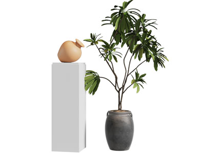 现代陶艺花瓶花卉 花盆盆景盆栽植物