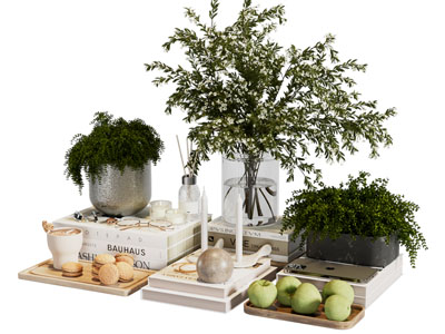 现代书本 水果 点心 花瓶花卉 摆件组合3d模型 现代书本 水果 点心 花瓶花卉 摆件组合