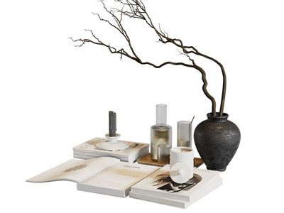 侘寂风花瓶花卉 书本 茶具杯子摆件组合3d模型 侘寂风花瓶花卉 书本 茶具杯子摆件组合