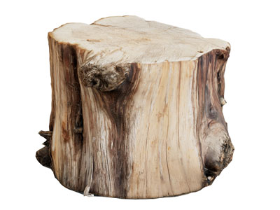 现代截断的木桩 木凳子