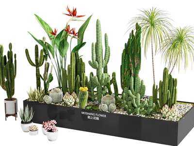 现代花坛仙人掌多肉植物盆景盆栽3d模型 现代花坛仙人掌多肉植物盆景盆栽