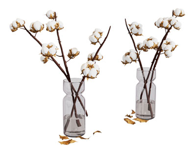 现代玻璃花瓶花卉3d模型 现代玻璃花瓶花卉