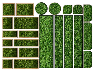 现代植物墙 植物墙装饰挂画3d模型 现代植物墙 植物墙装饰挂画