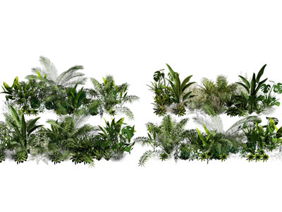 现代花草灌木植物3d模型 现代花草灌木植物