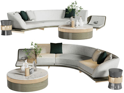 现代异形沙发 茶几组合