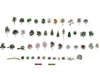 现代景观树木 花草植物3d模型 现代景观树木 花草植物