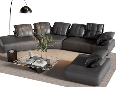 现代异形多人沙发 单人沙发和茶几组合