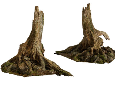 现代腐烂的树根 树桩 木材