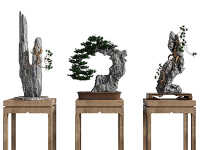 新中式假山盆景盆栽3d模型 新中式假山盆景盆栽