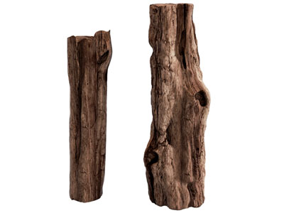 现代枯木 朽木 木头 木材