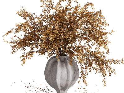 侘寂风花瓶花卉3d模型 侘寂风花瓶花卉