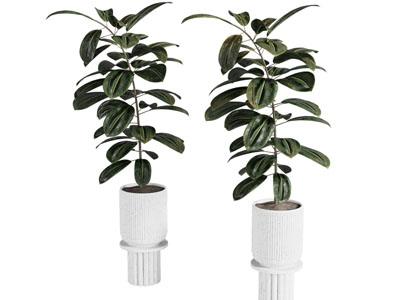 现代花盆盆景盆栽植物3d模型 现代花盆盆景盆栽植物