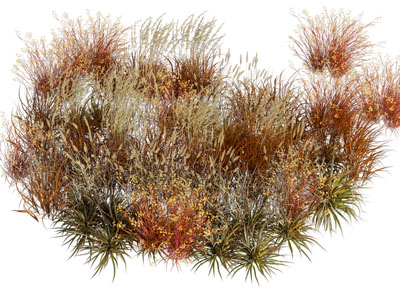 现代花草花卉植物3d模型 现代花草花卉植物