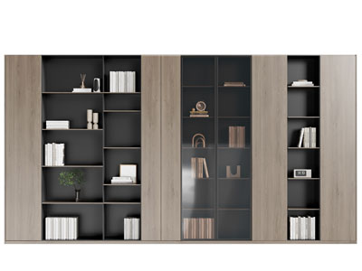 现代装饰书柜