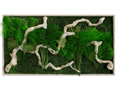 现代植物墙 背景墙3d模型 现代植物墙 背景墙