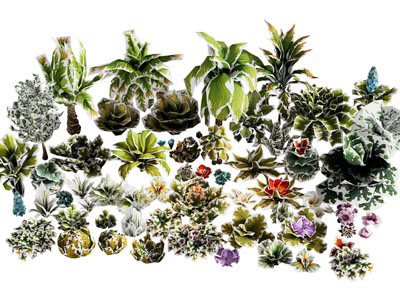 现代花草花卉植物3d模型 现代花草花卉植物