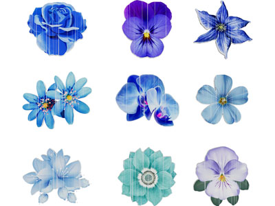 现代花卉花朵植物剪影 墙饰3d模型 现代花卉花朵植物剪影 墙饰