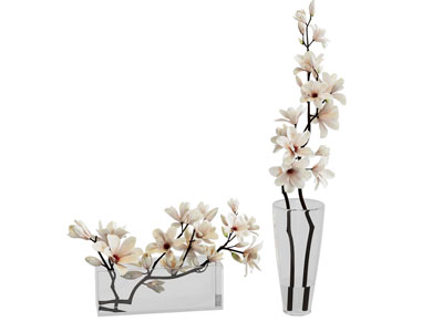 现代玻璃花瓶花卉3d模型 现代玻璃花瓶花卉