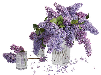 现代玻璃花瓶花卉3d模型 现代玻璃花瓶花卉