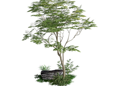 现代景观树木3d模型 现代景观树木