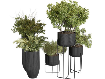 现代黑色陶瓷花盆盆景盆栽植物3d模型 现代黑色陶瓷花盆盆景盆栽植物