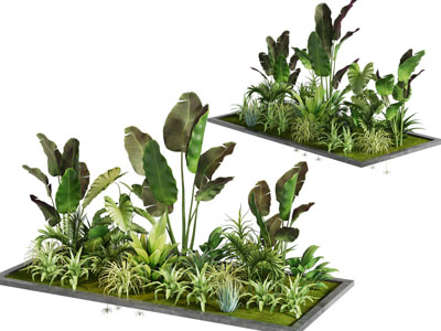 现代花坛花卉花草植物盆景盆栽3d模型 现代花坛花卉花草植物盆景盆栽