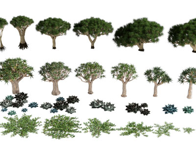 现代景观树木3d模型 现代景观树木