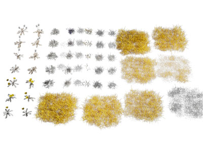 现代花草花卉植物3d模型 现代花草花卉植物