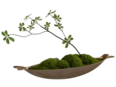 现代苔藓盆景盆栽植物3d模型 现代苔藓盆景盆栽植物