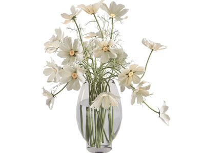 现代玻璃花瓶花卉3d模型 现代玻璃花瓶花卉