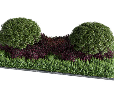 现代花坛花草植物灌木盆景盆栽3d模型 现代花坛花草植物灌木盆景盆栽