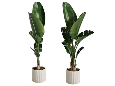 现代盆景盆栽植物3d模型 现代盆景盆栽植物